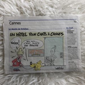 Cats Palace sur Nice Matin : pension pour chats à Cannes - le Cannet
